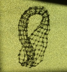 The shadow of the grid of Klein bottle made of cable ties