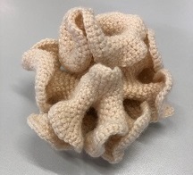 Model Hyperbolic plane crochet, larger n