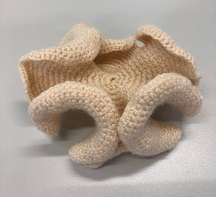 Model Hyperbolic plane crochet, smaller n