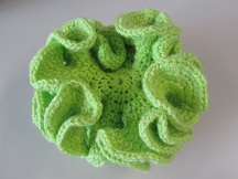 Model Hyperbolic plane crochet